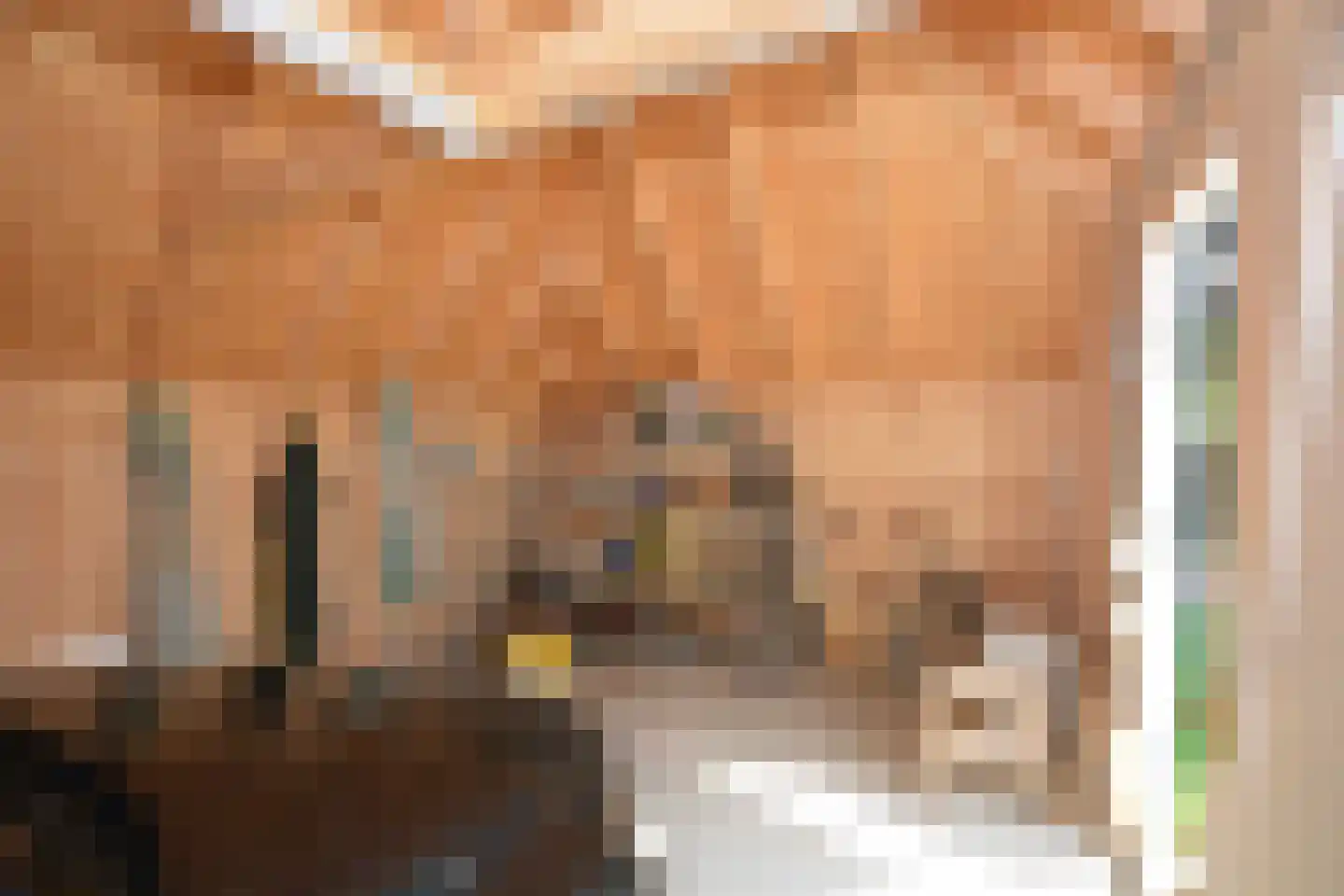 Jacobspad 2 Schiermonnikoog thumbnail 42