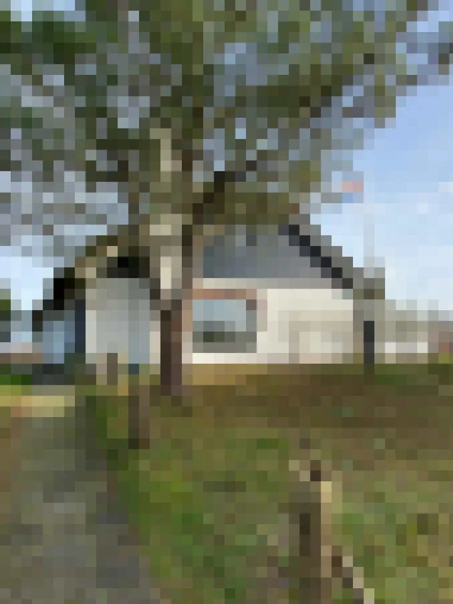 Jacobspad 2 Schiermonnikoog thumbnail 49