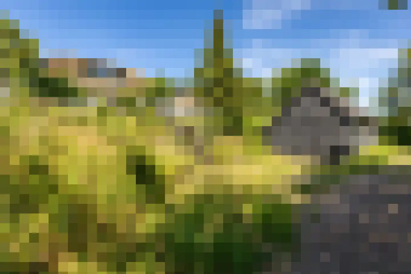 Jacobspad 2 Schiermonnikoog thumbnail 51