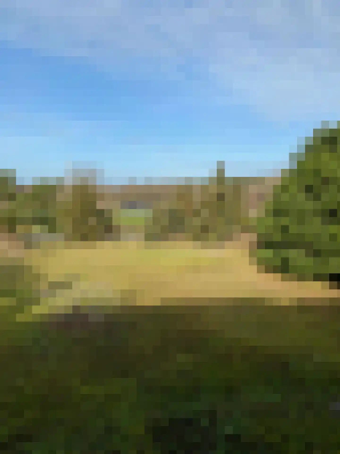 Jacobspad 2 Schiermonnikoog thumbnail 52