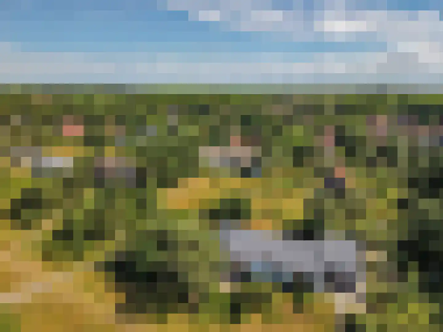 Jacobspad 2 Schiermonnikoog thumbnail 57