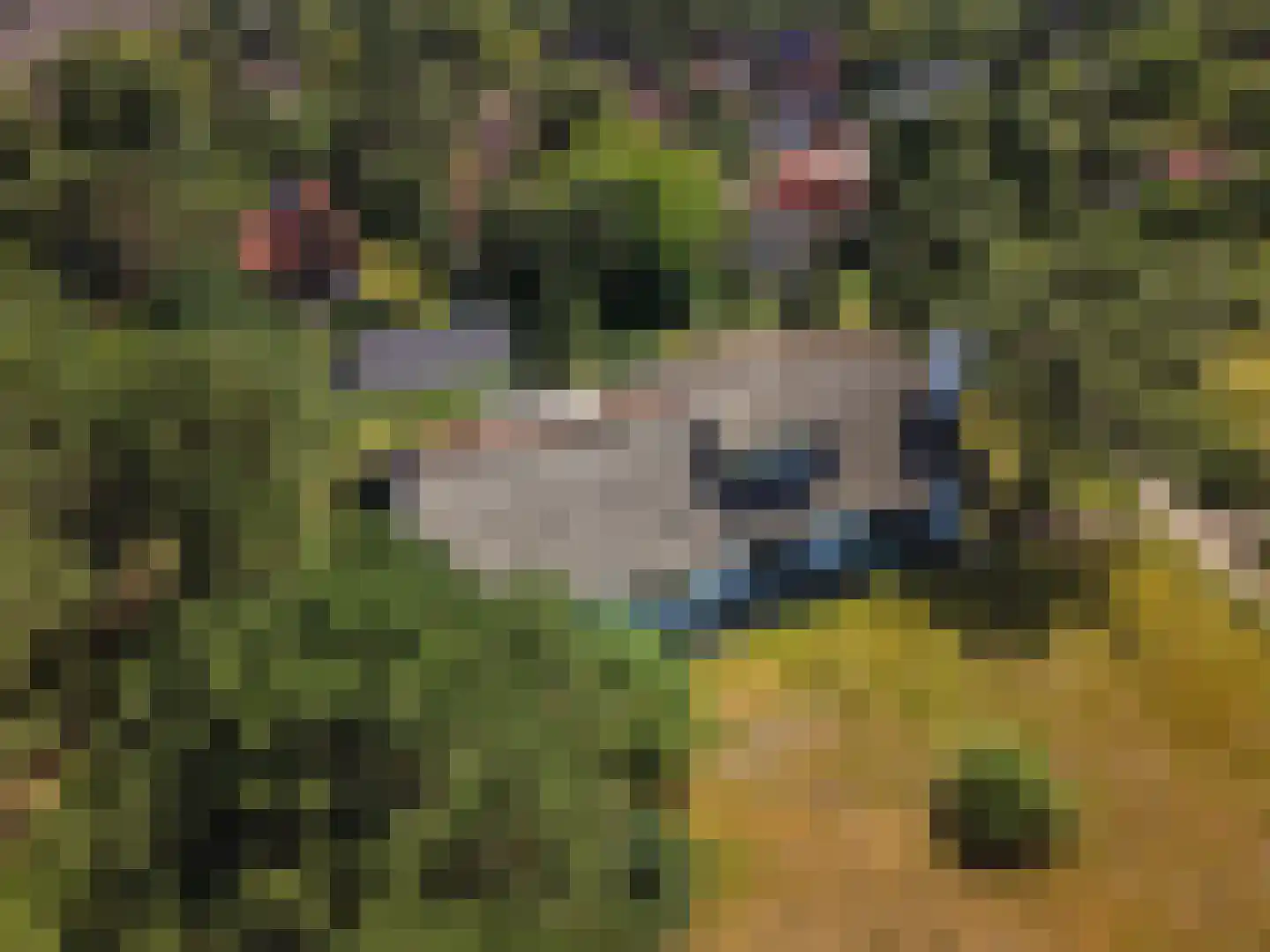 Jacobspad 2 Schiermonnikoog thumbnail 58