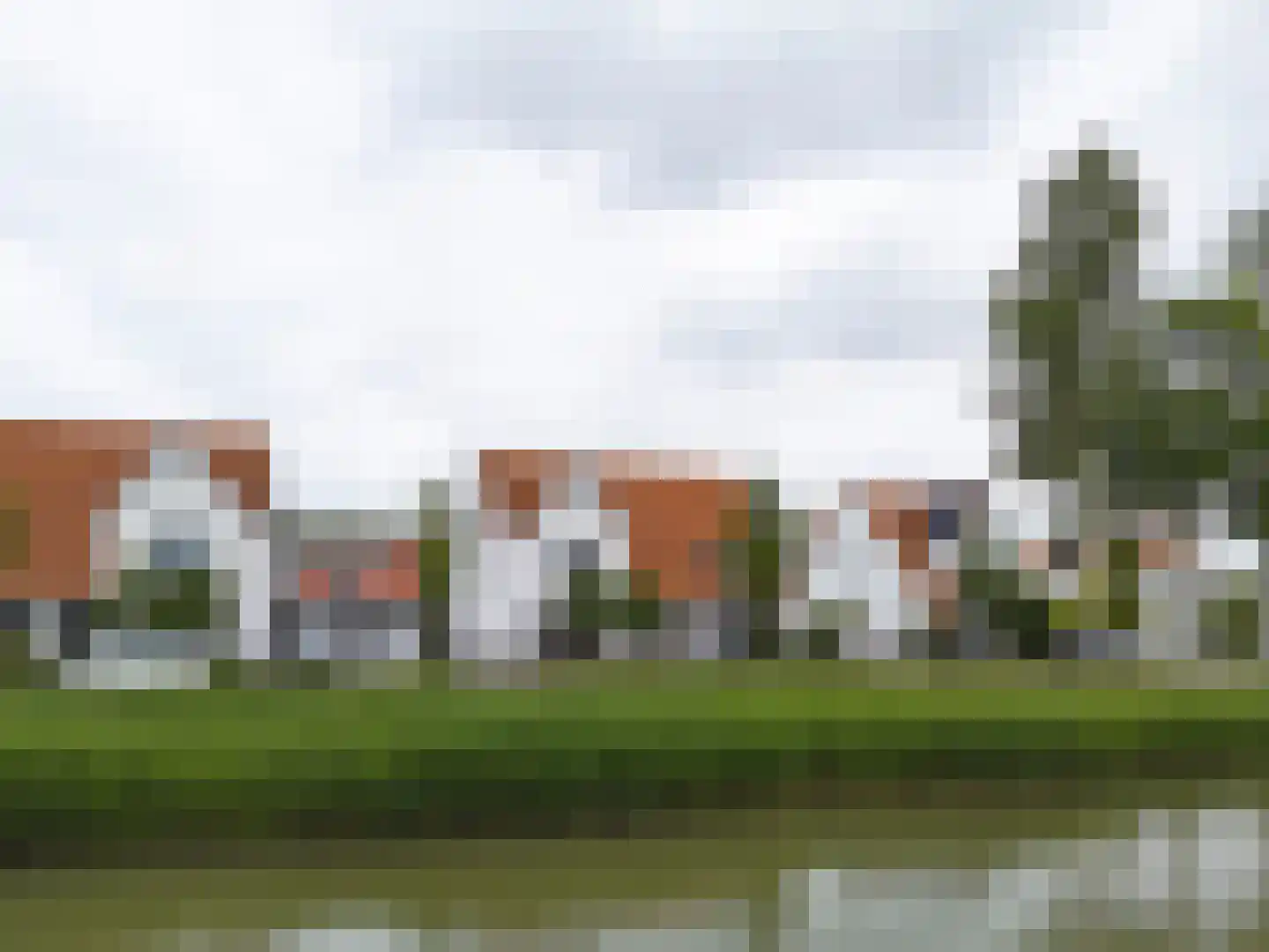 Jacobsschelp 36 Terneuzen