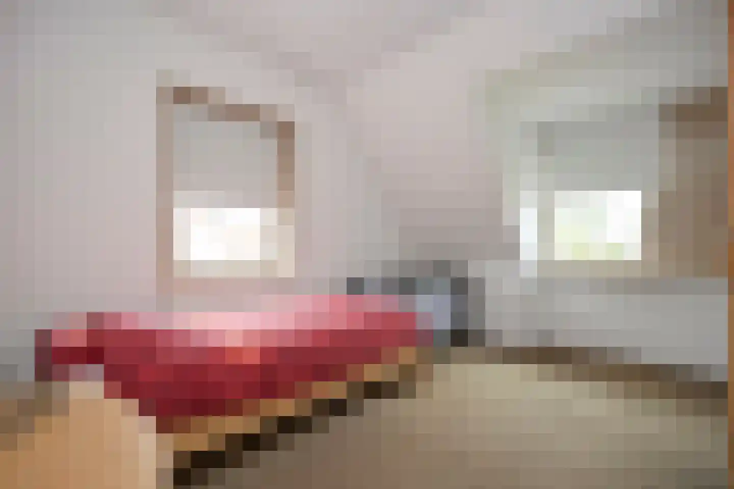 Jacobsschelp 36 Terneuzen thumbnail 10
