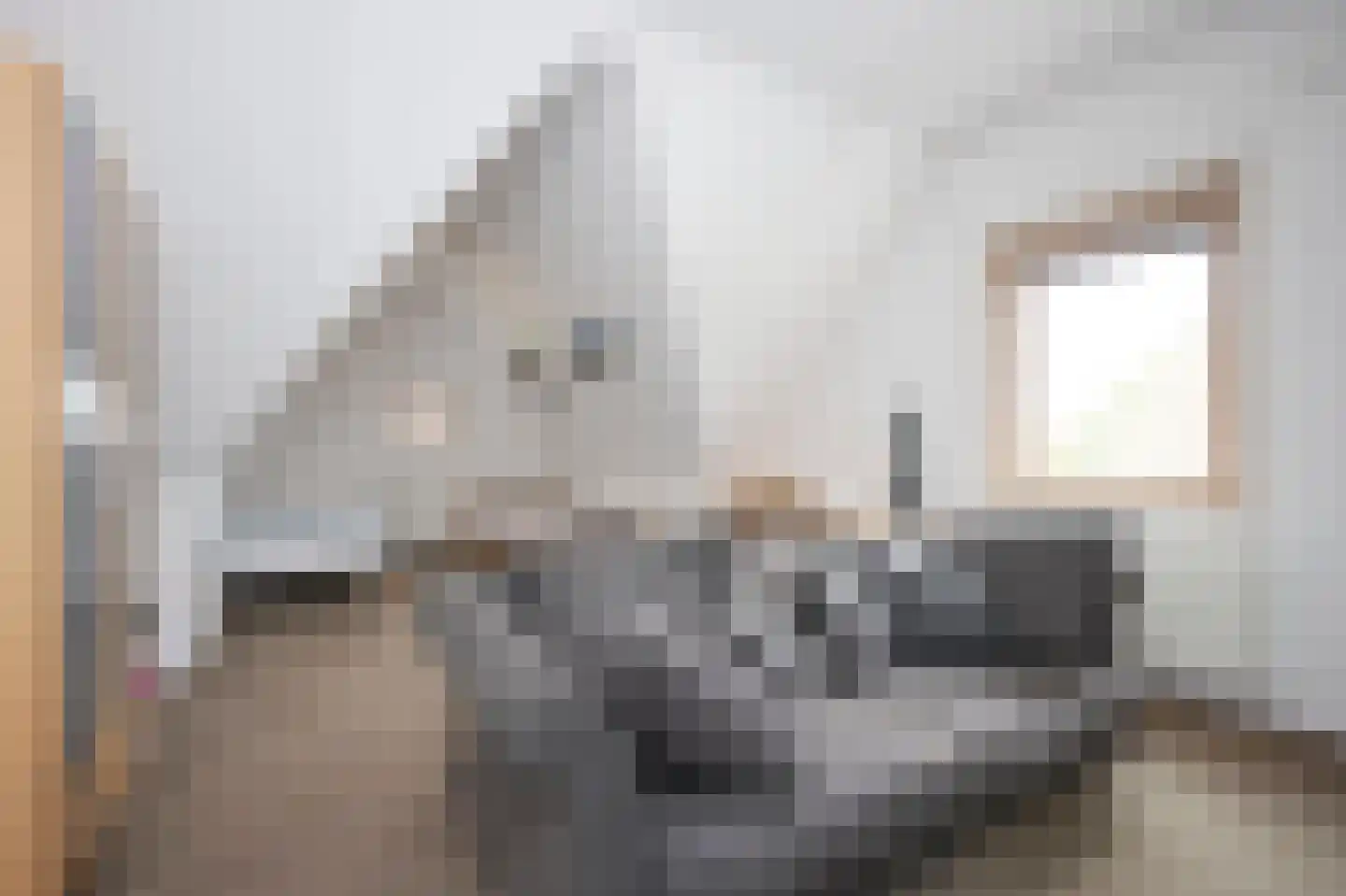 Jacobsschelp 36 Terneuzen thumbnail 12