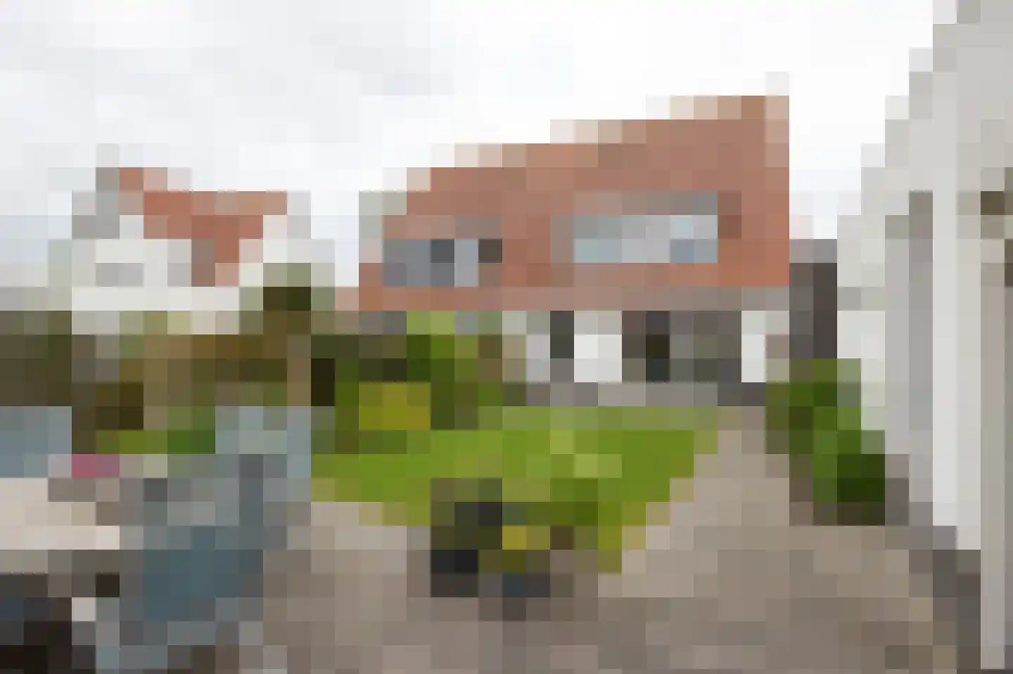 Jacobsschelp 36 Terneuzen thumbnail 14