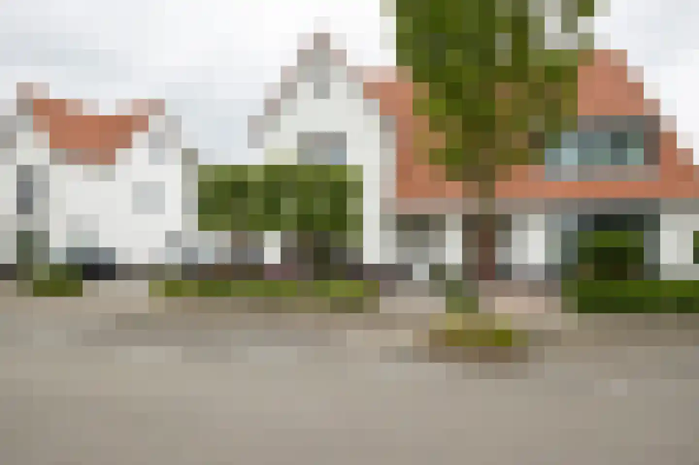 Jacobsschelp 36 Terneuzen thumbnail 16