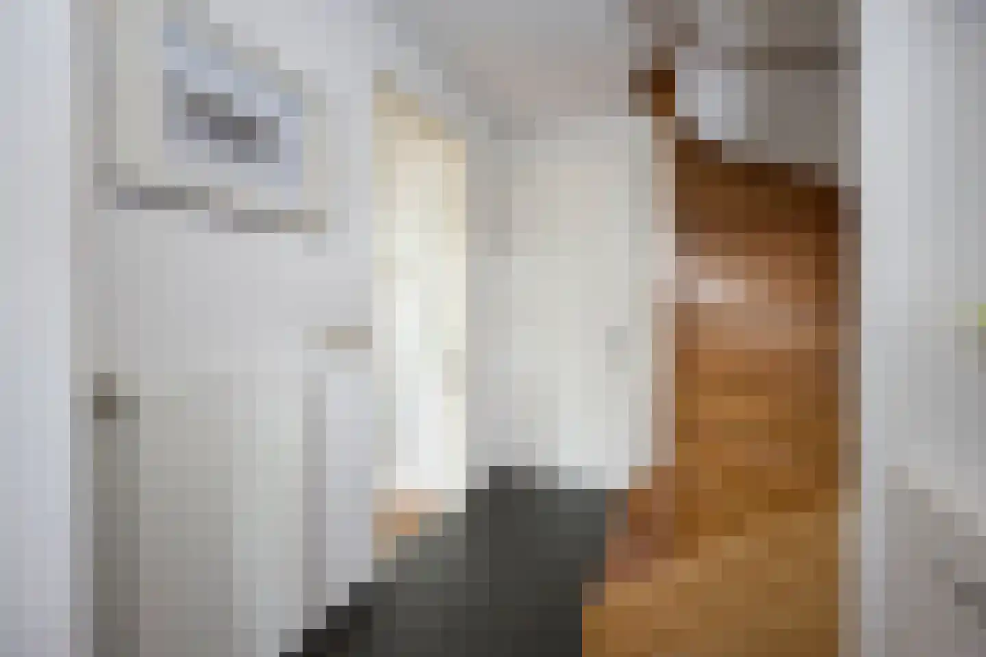 Jacobsschelp 36 Terneuzen thumbnail 5