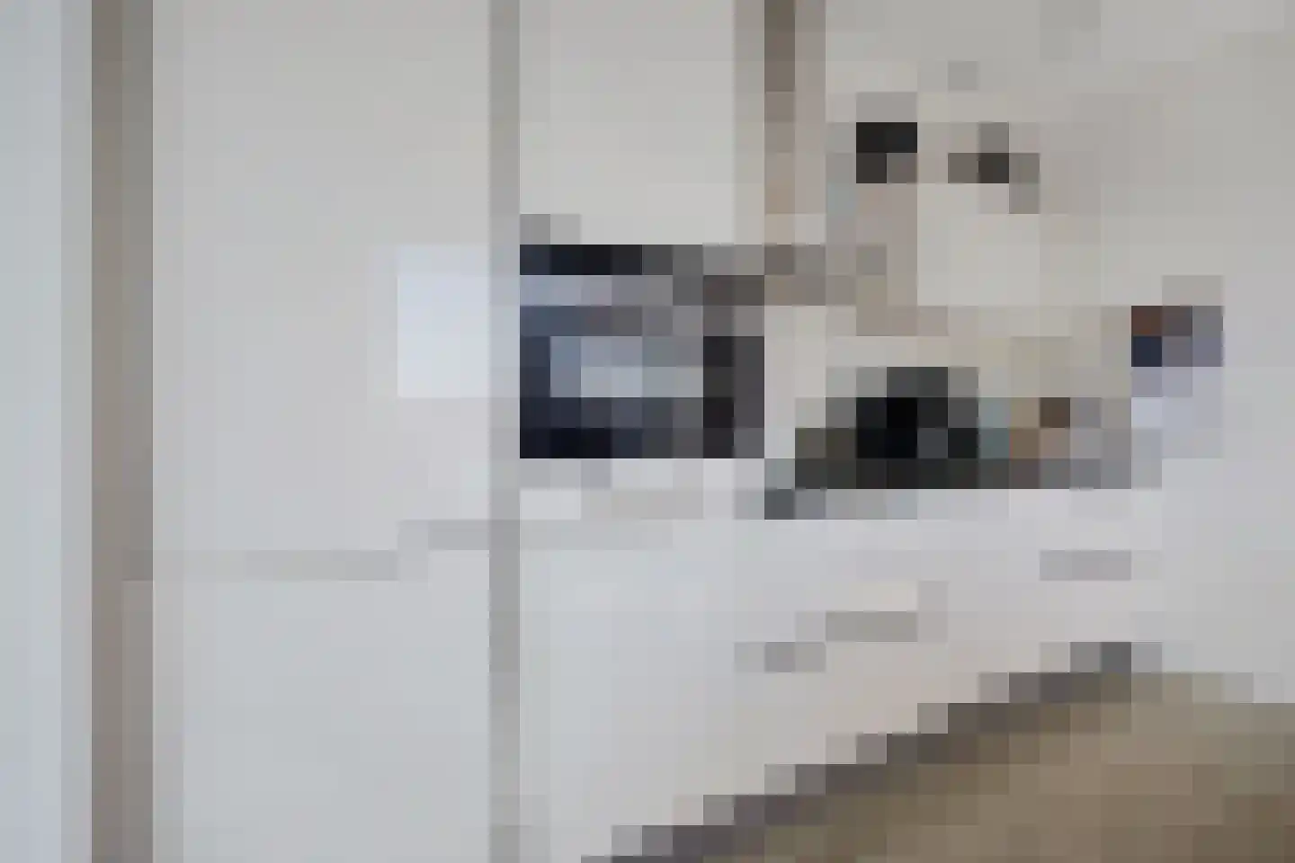 Jacobsstaf 35 Zwaag thumbnail 10