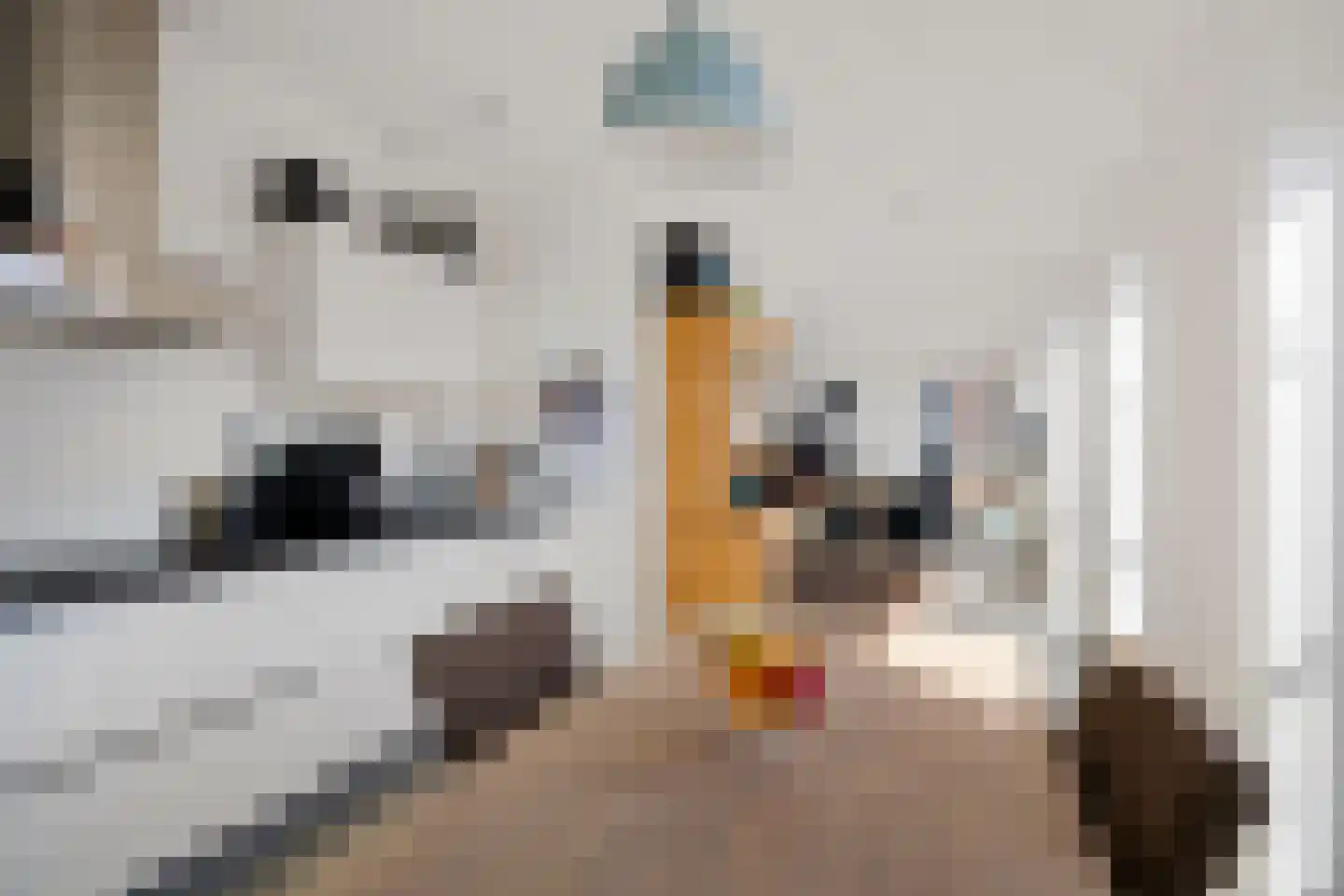 Jacobsstaf 35 Zwaag thumbnail 11