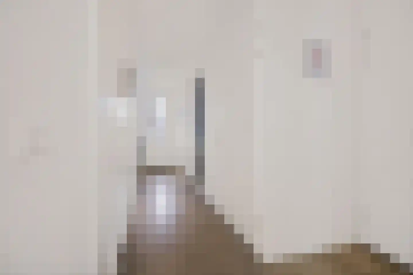 Jacobsstaf 35 Zwaag thumbnail 12