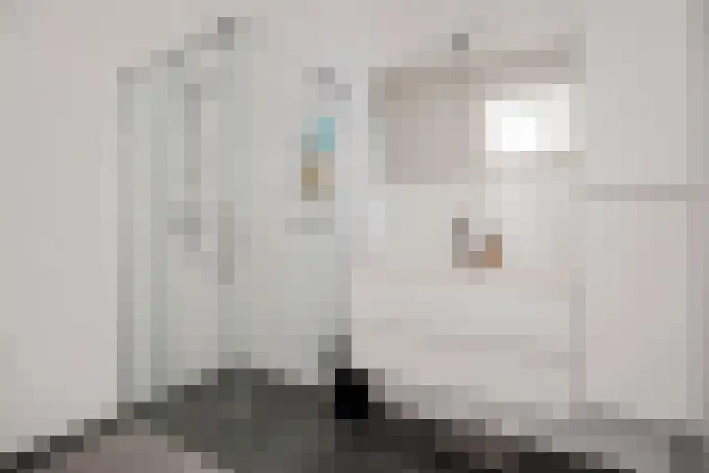 Jacobsstaf 35 Zwaag thumbnail 14