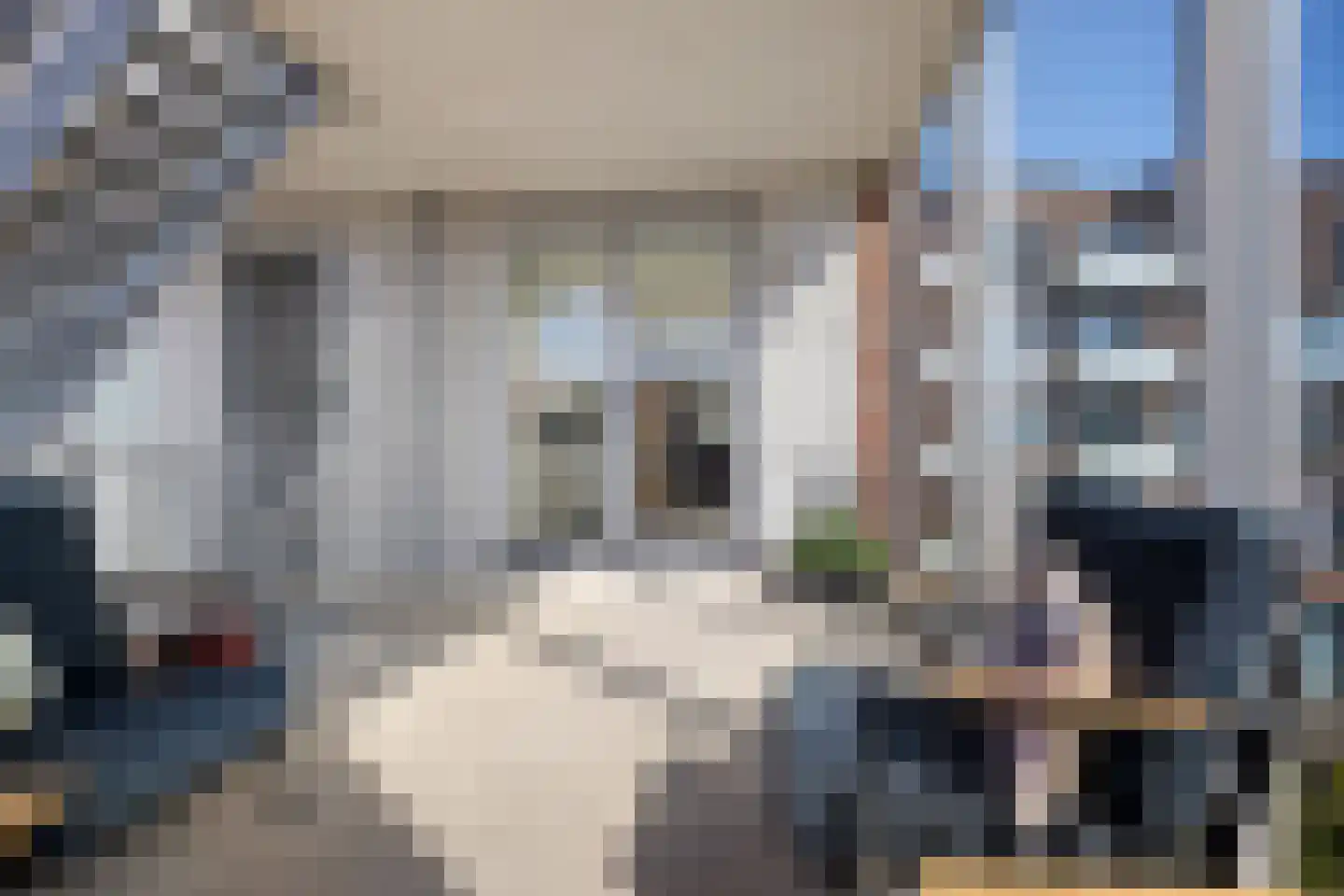 Jacobsstaf 35 Zwaag thumbnail 22