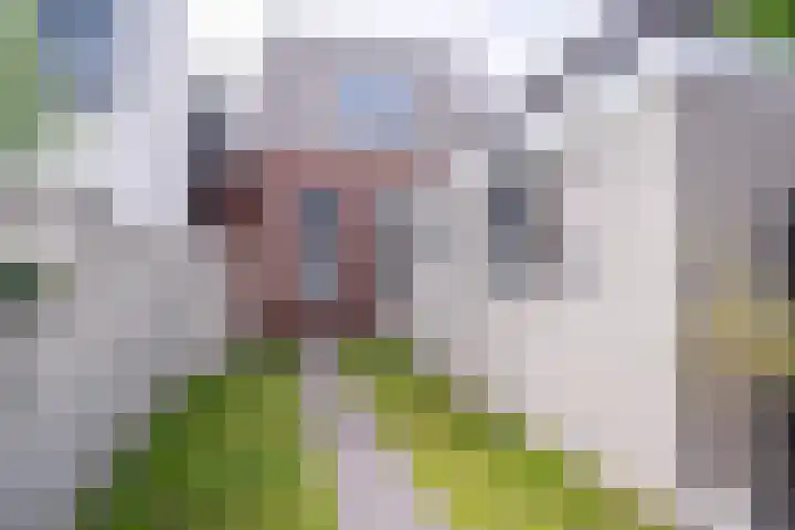 Jacobstraat 14 Groningen thumbnail 46