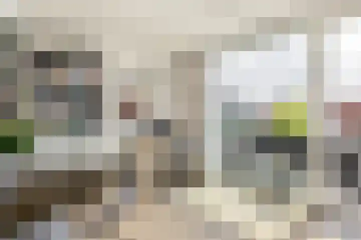 Jacobstraat 25 Haarlem thumbnail 29