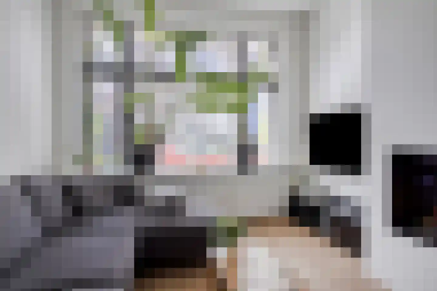 Jacobstraat 50 Groningen thumbnail 13