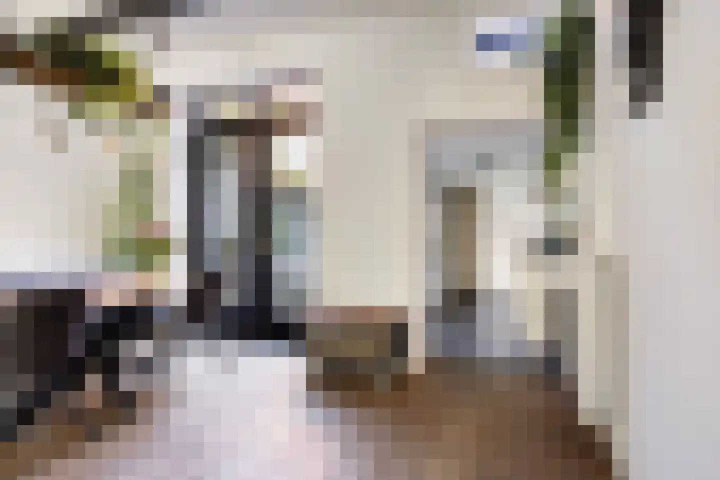 Jacobstraat 50 Groningen thumbnail 8