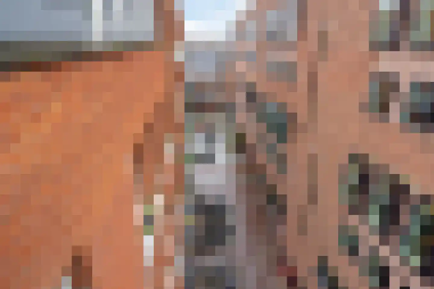 Jacobstraat 71 Haarlem thumbnail 14