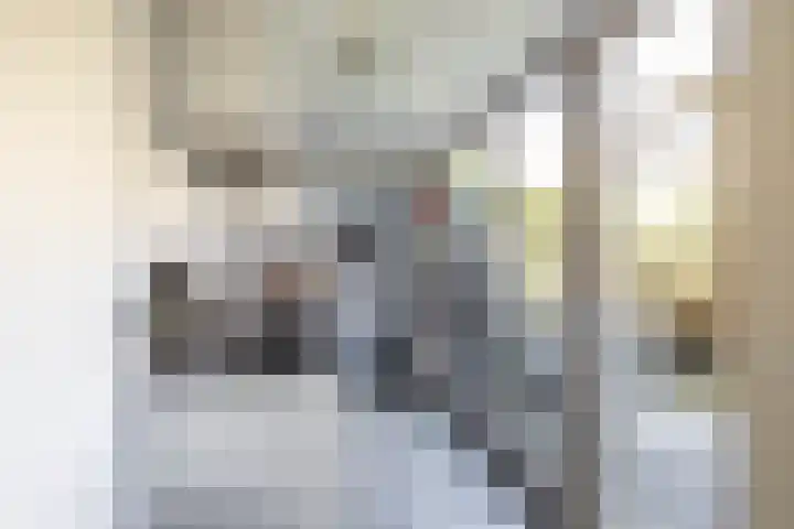 Jacobstraat 8 Groningen thumbnail 15