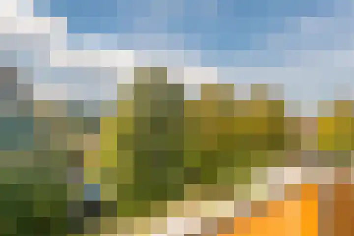 Jacobsvicarie 26 Culemborg thumbnail 16