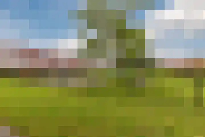 Jacobsvicarie 26 Culemborg thumbnail 33