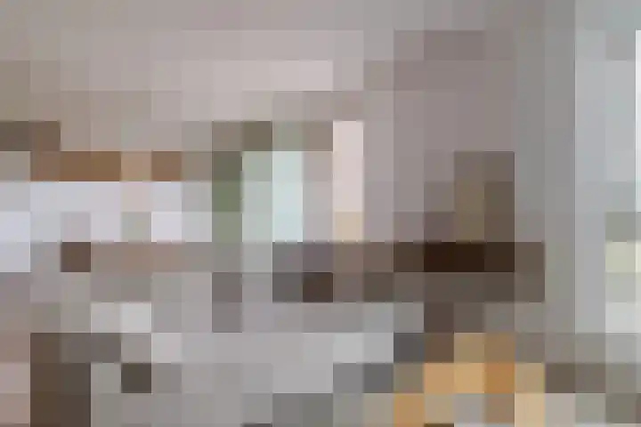 Jacobsvicarie 26 Culemborg thumbnail 9