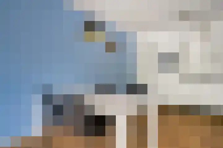 Jacobus Bellamyhove 33 G Zoetermeer thumbnail 11