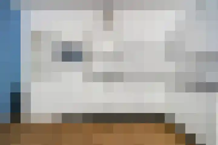 Jacobus Bellamyhove 33 G Zoetermeer thumbnail 12
