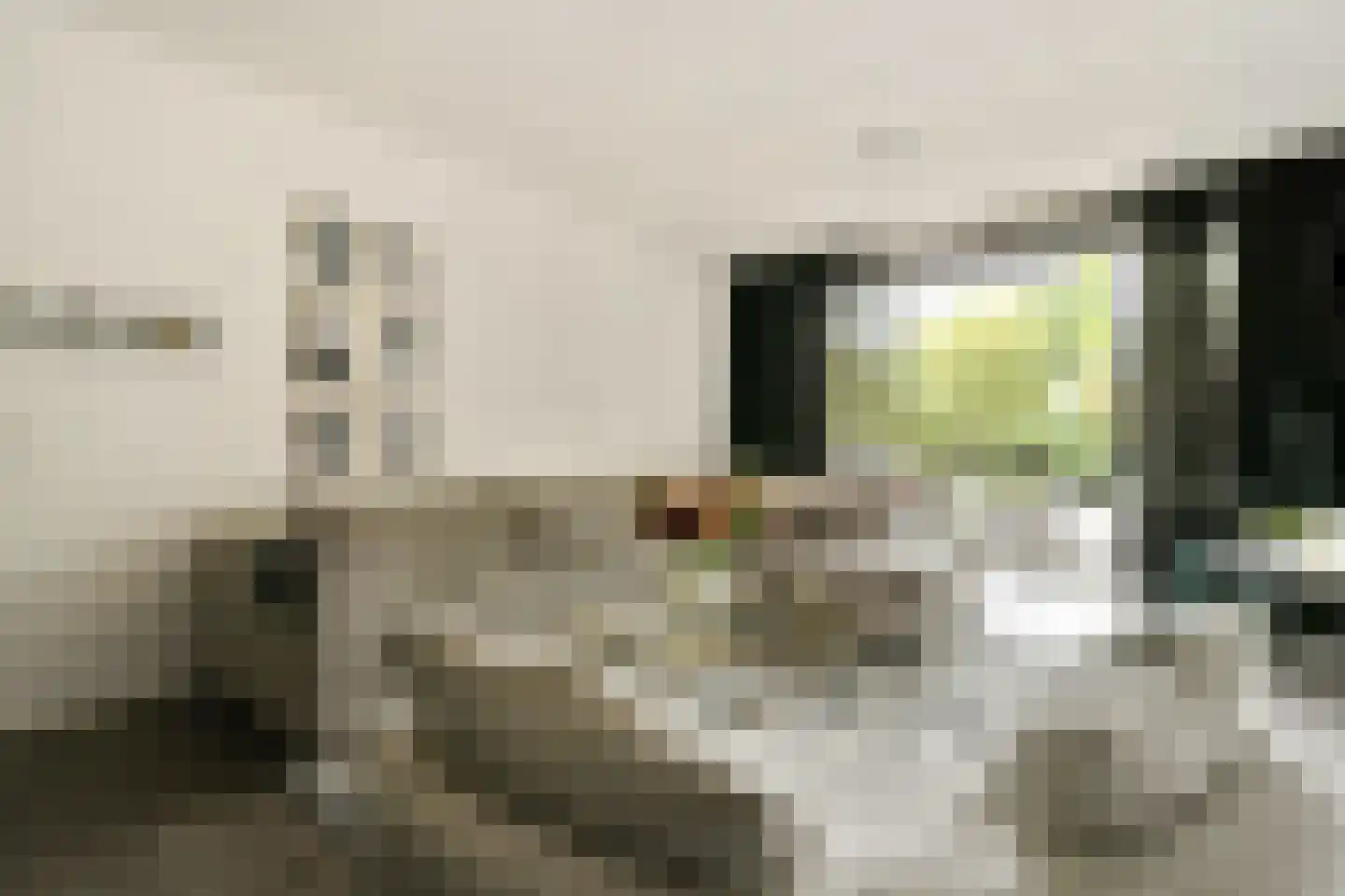 Jacobus Bellamyhove 33 G Zoetermeer thumbnail 12