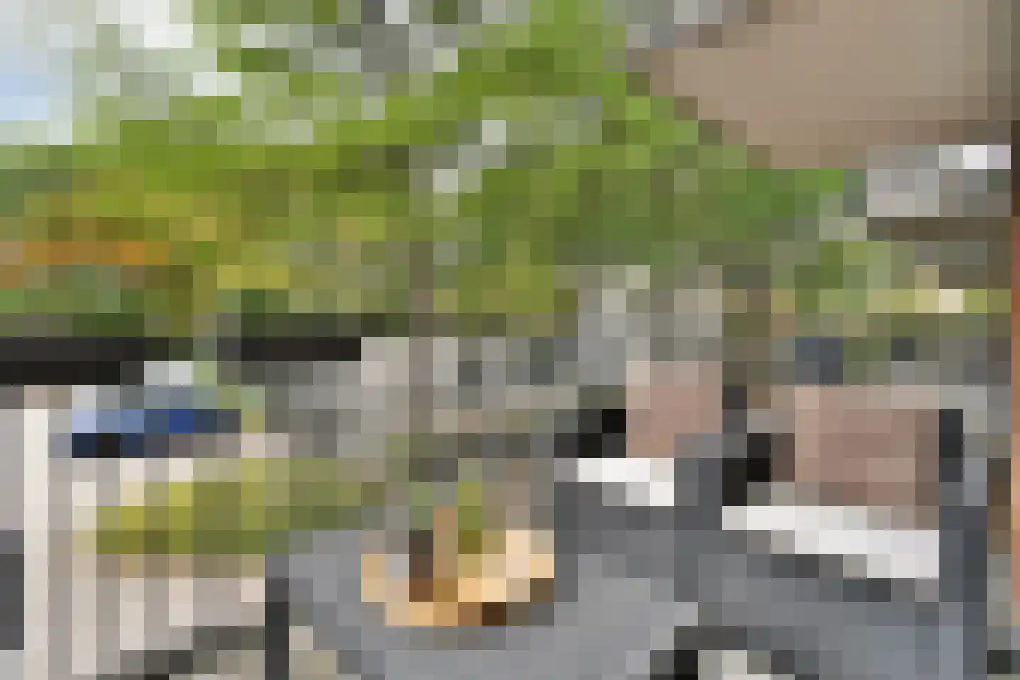 Jacobus Bellamyhove 33 G Zoetermeer thumbnail 16