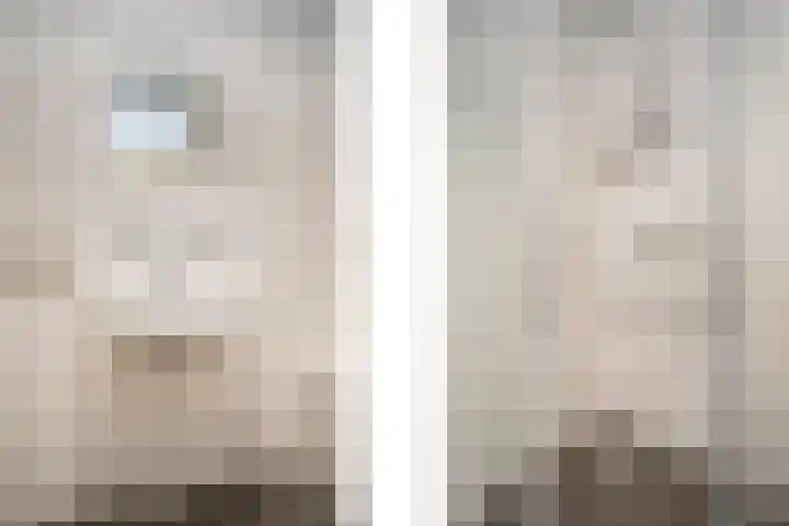 Jacobus Bellamyhove 33 G Zoetermeer thumbnail 19