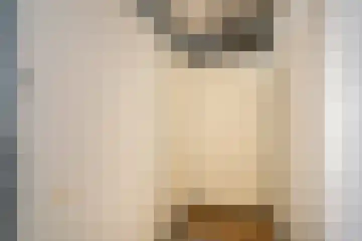 Jacobus Bellamyhove 33 G Zoetermeer thumbnail 25