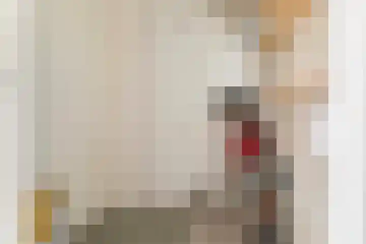 Jacobus Bellamyhove 33 G Zoetermeer thumbnail 27