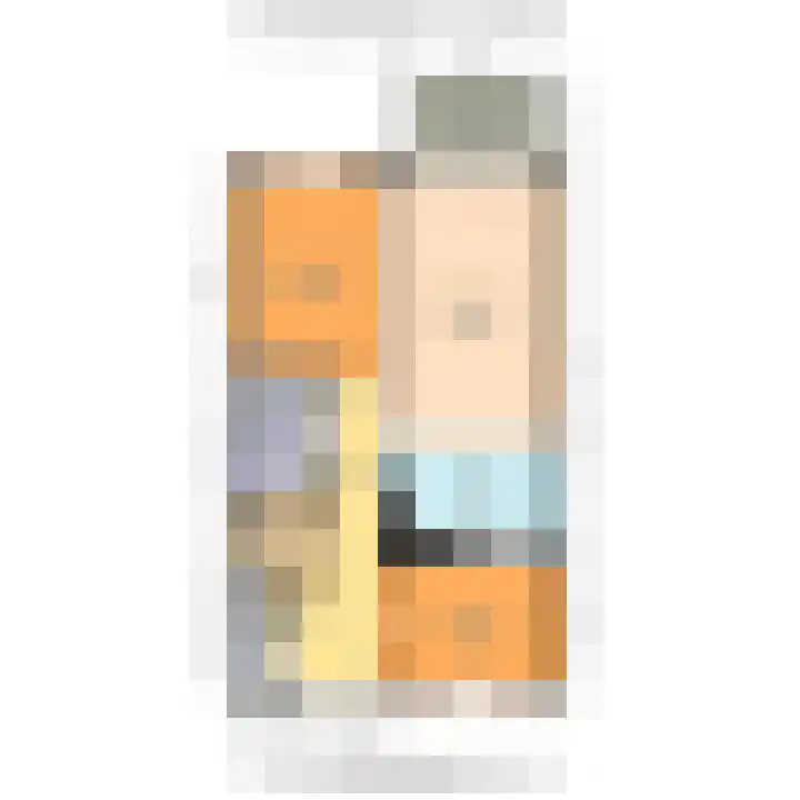 Jacobus Bellamyhove 33 G Zoetermeer thumbnail 30