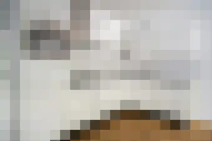 Jacobus Bellamyhove 33 G Zoetermeer thumbnail 4