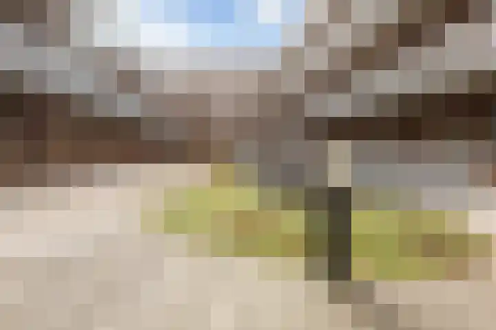 Jacobus Bellamyhove 33 G Zoetermeer thumbnail 8