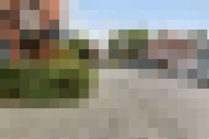 Jacobus Bellamyhove 34 G Zoetermeer thumbnail 36