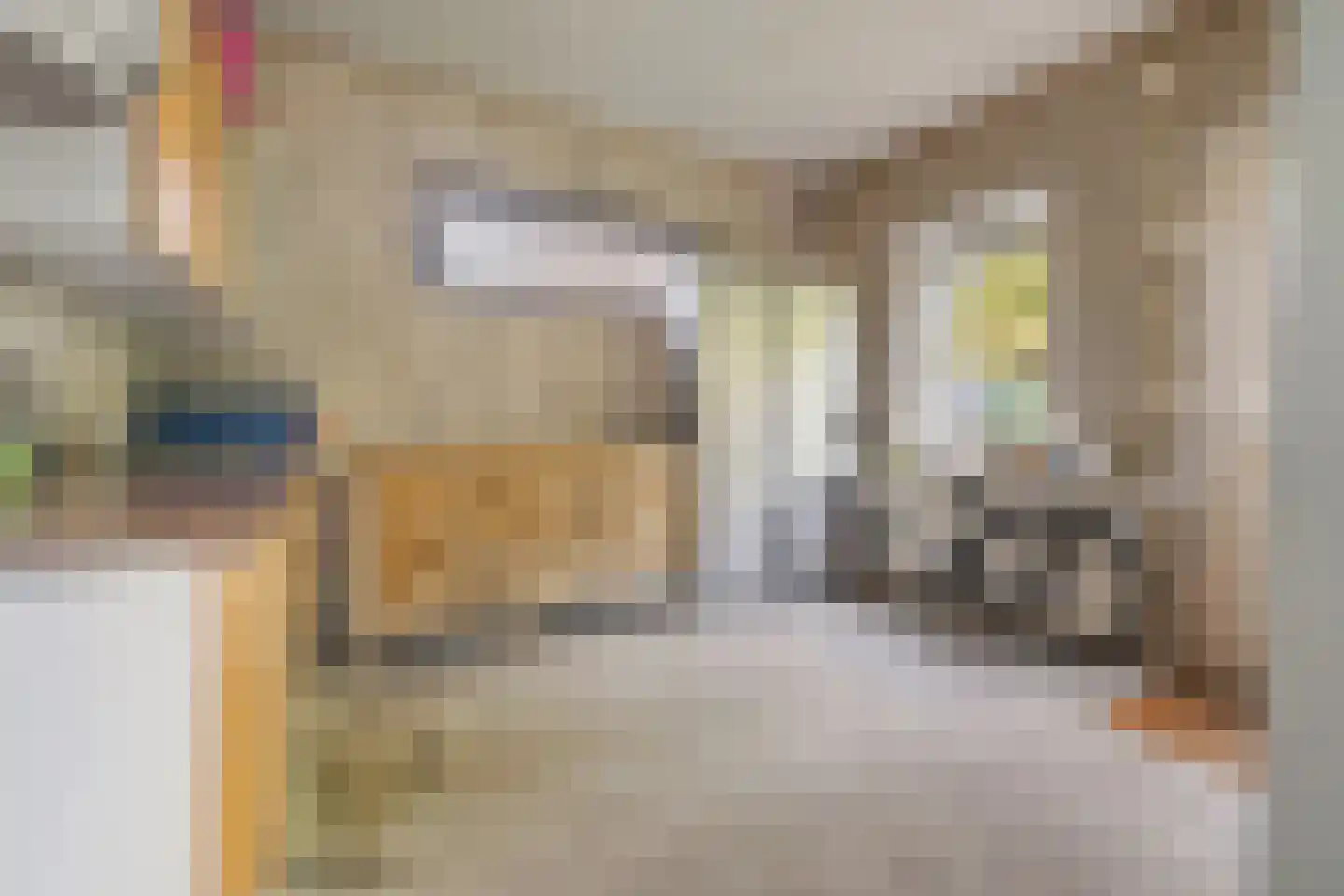 Jacobus Bellamylaan 13 Bussum thumbnail 21