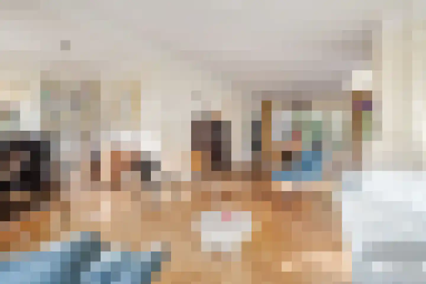 Jacobus Bellamylaan 13 Bussum thumbnail 7