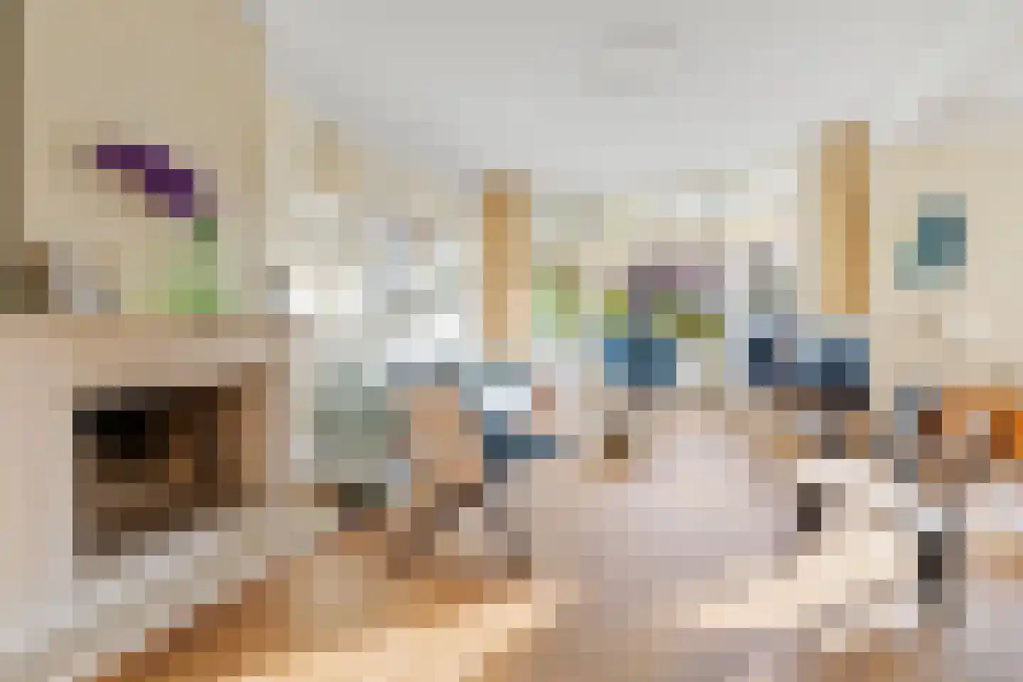 Jacobus Bellamylaan 13 Bussum thumbnail 9