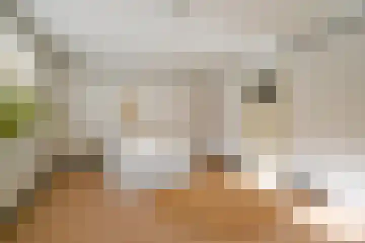 Jacobus Bellamylaan 9 Bussum thumbnail 22
