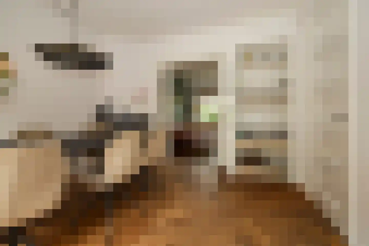Jacobus Boumanlaan 4 Zuidoostbeemster thumbnail 16