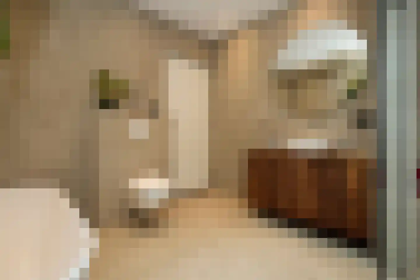 Jacobus Boumanlaan 4 Zuidoostbeemster thumbnail 34