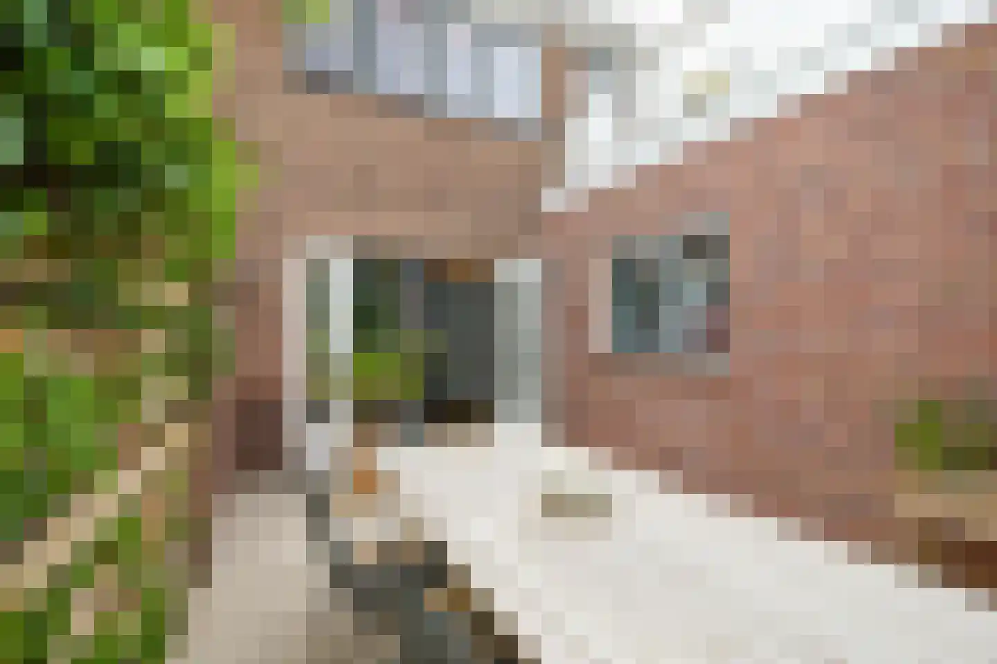 Jacobus Boumanlaan 4 Zuidoostbeemster thumbnail 69