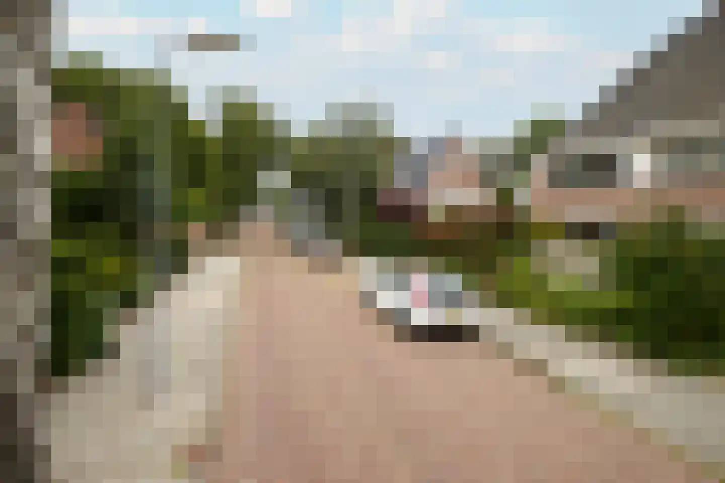 Jacobus Boumanlaan 4 Zuidoostbeemster thumbnail 7