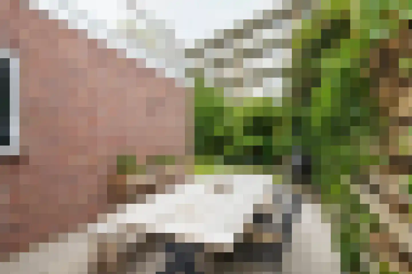 Jacobus Boumanlaan 4 Zuidoostbeemster thumbnail 70