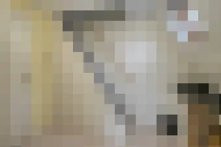 Jacobus Boumanlaan 5 Zuidoostbeemster thumbnail 23