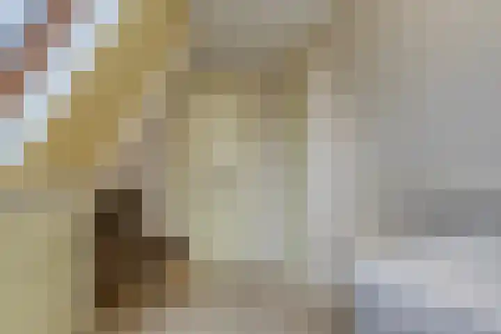 Jacobus Boumanlaan 5 Zuidoostbeemster thumbnail 28