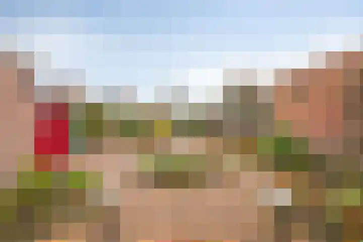 Jacobus Boumanlaan 5 Zuidoostbeemster thumbnail 29