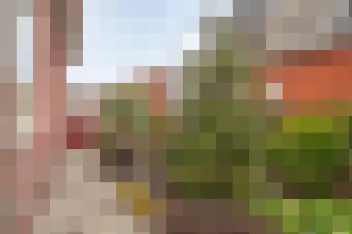 Jacobus Boumanlaan 5 Zuidoostbeemster thumbnail 31